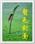 戰神楊戩異界遊